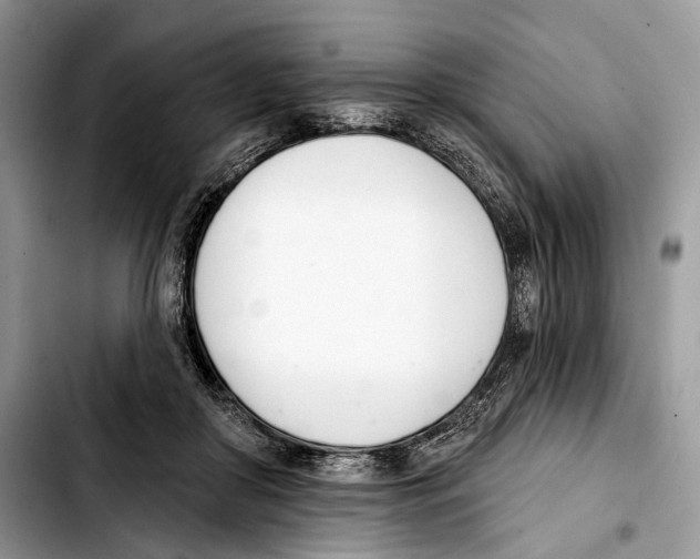 X0000103420410200810101023