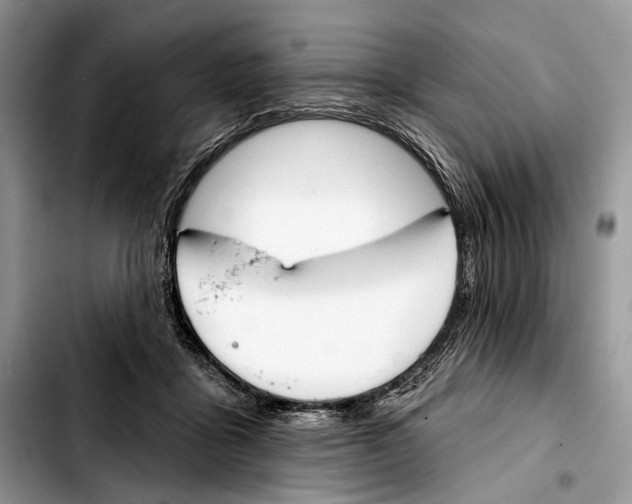 X0000103420411200810101023
