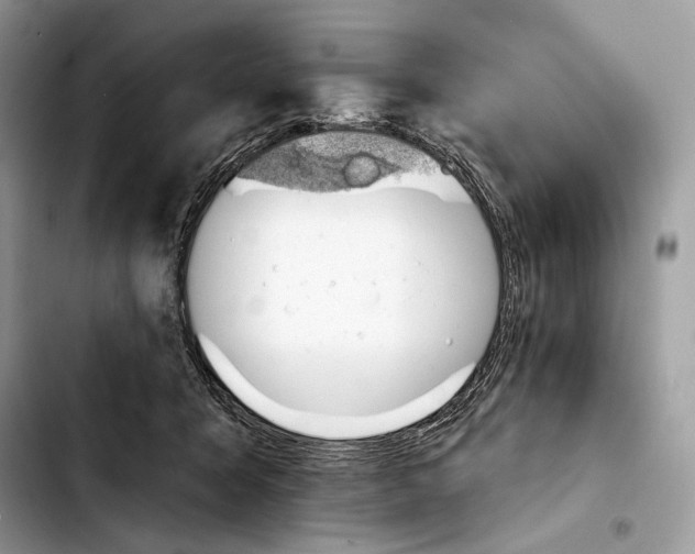 X0000103420415200810101023