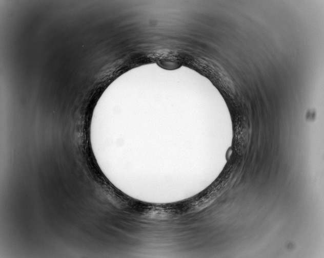 X0000103420416200810101023