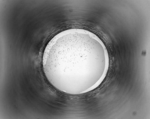X0000103420419200810101023