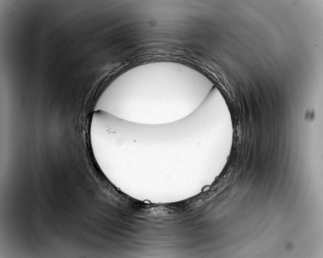 X0000103420423200810101023