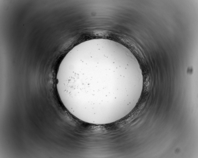 X0000103420424200810101023