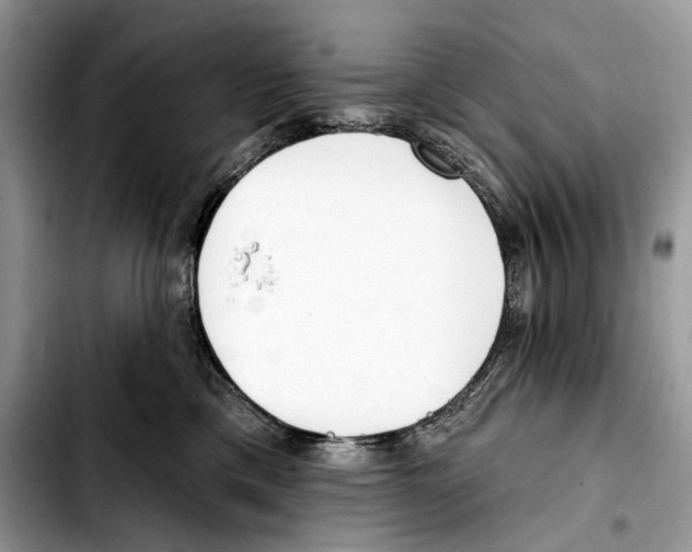 X0000103420425200810101023
