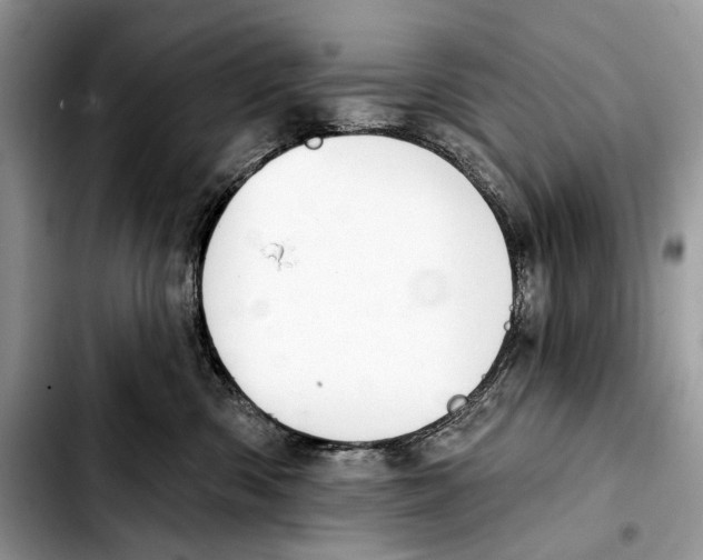 X0000103420426200810101023