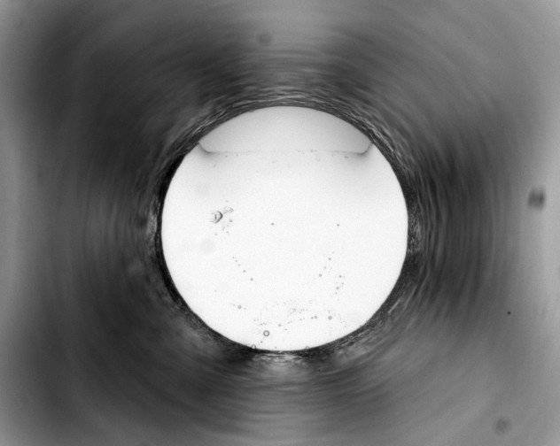 X0000103420427200810101023