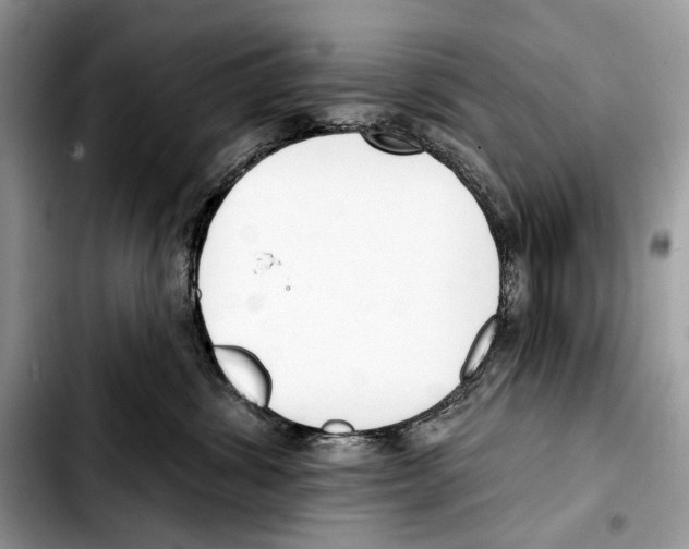 X0000103420428200810101023