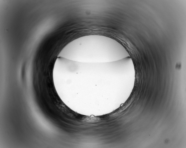 X0000103420429200810101023