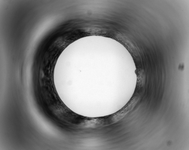 X0000103420430200810101023