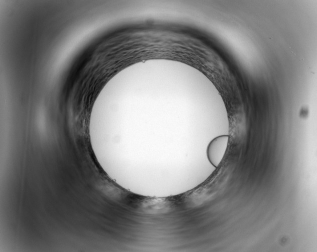 X0000103420431200810101023