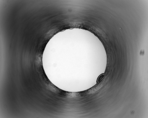 X0000103420432200810101023