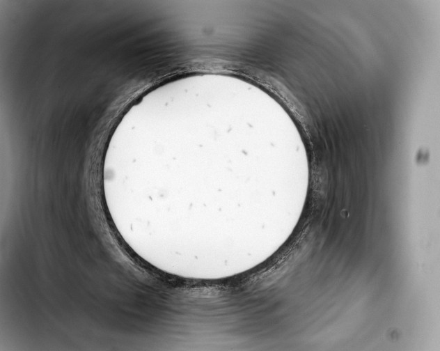 X0000103420433200810101022