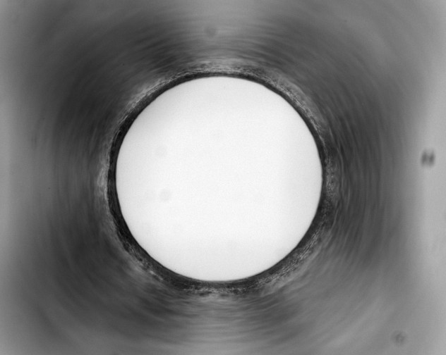 X0000103420434200810101022