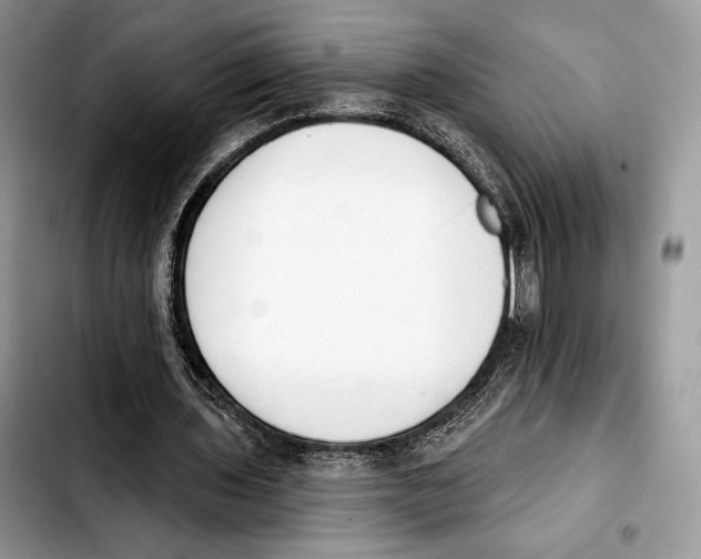 X0000103420435200810101022