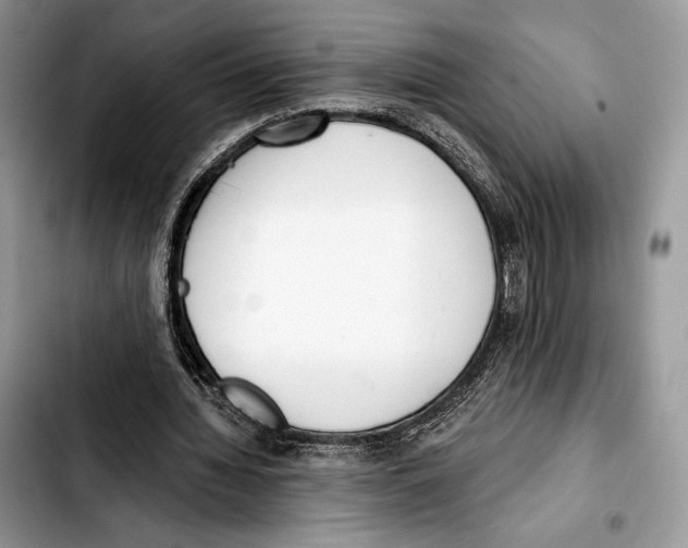 X0000103420436200810101022