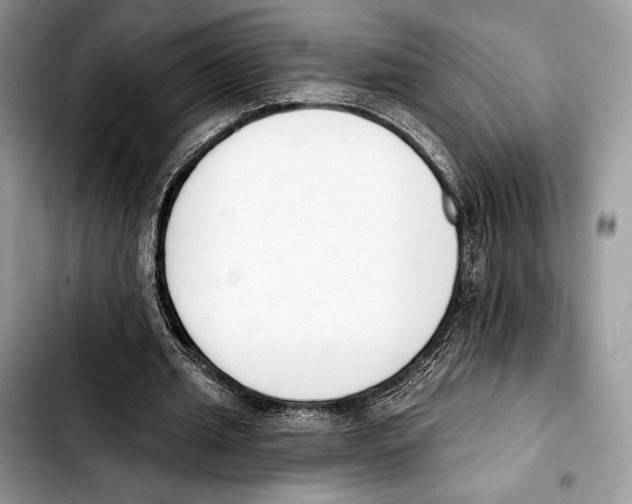 X0000103420437200810101022
