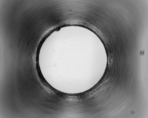 X0000103420438200810101022