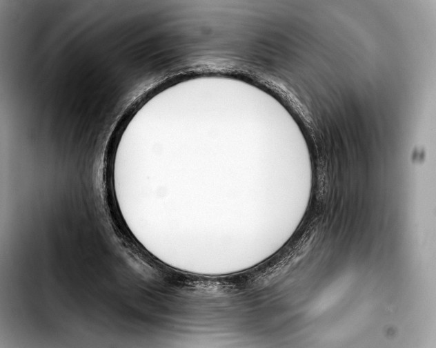 X0000103420439200810101022