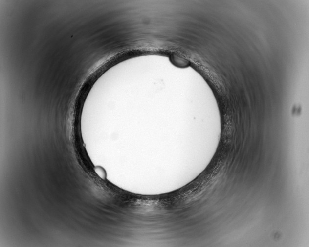 X0000103420440200810101022