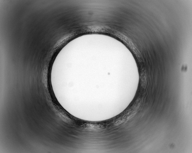 X0000103420442200810101022
