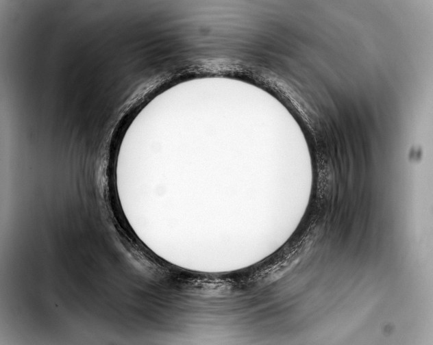 X0000103420443200810101022