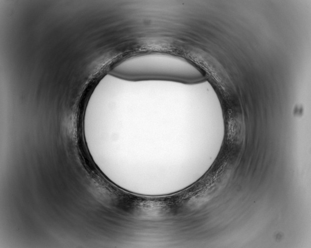 X0000103420444200810101022
