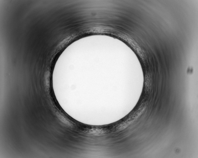 X0000103420445200810101022