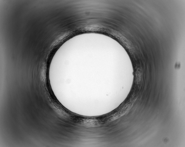 X0000103420446200810101022