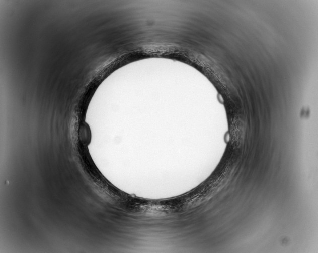 X0000103420448200810101022