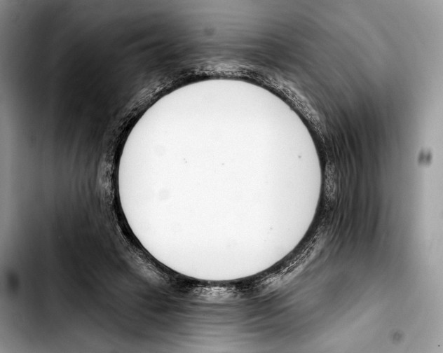 X0000103420449200810101022