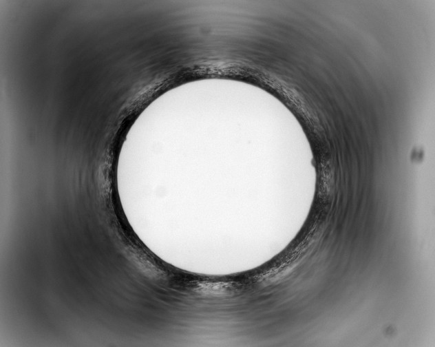 X0000103420450200810101022