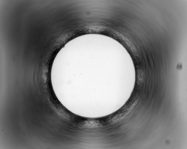 X0000103420451200810101022