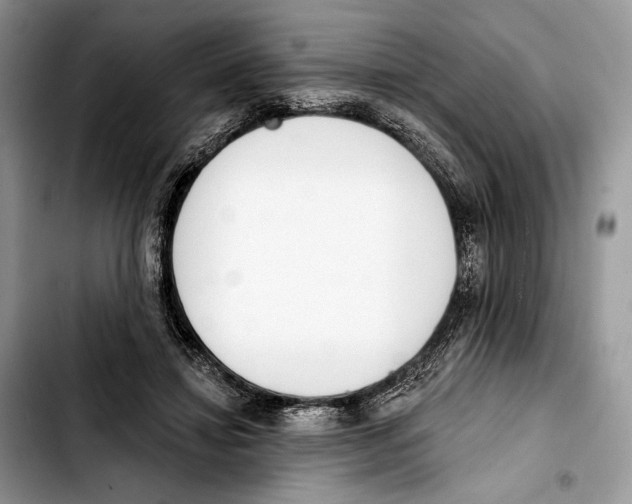 X0000103420452200810101022
