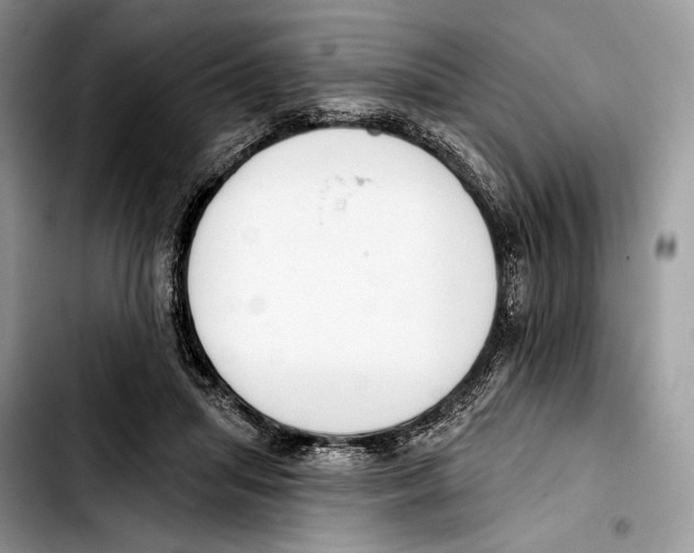 X0000103420455200810101023
