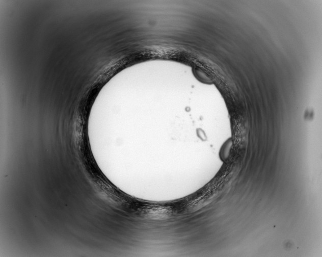 X0000103420456200810101023
