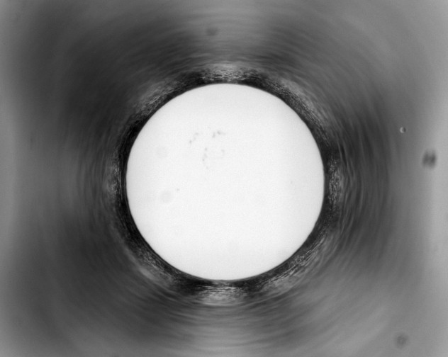 X0000103420459200810101023