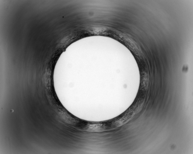 X0000103420461200810101023