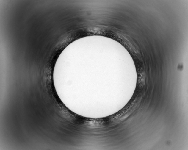 X0000103420466200810101023
