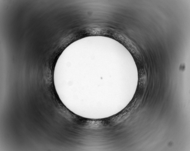 X0000103420469200810101023