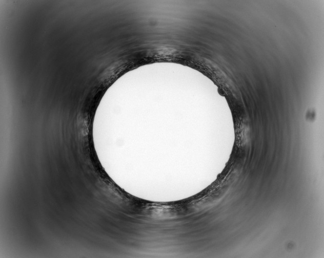 X0000103420472200810101023