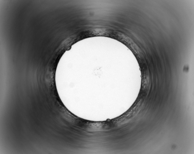X0000103420473200810101023