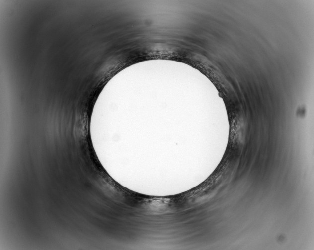 X0000103420474200810101023