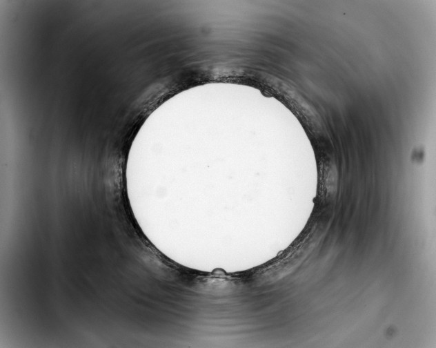 X0000103420475200810101023