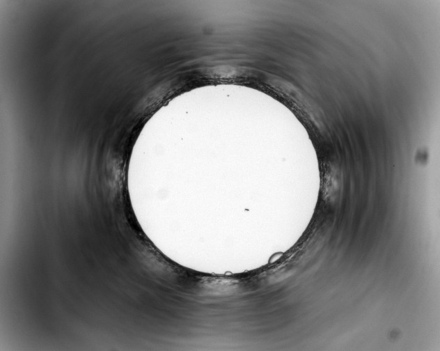 X0000103420476200810101023