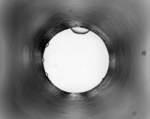 X0000103420477200810101023