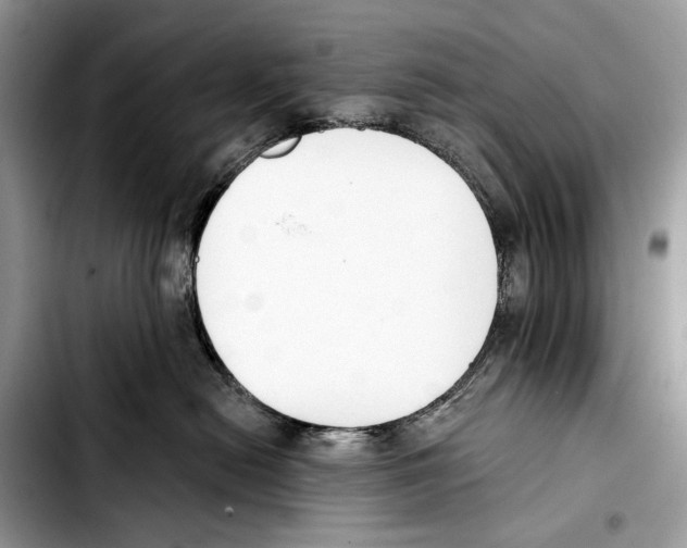 X0000103420478200810101023