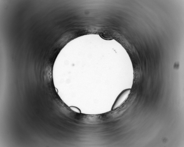 X0000103420479200810101023