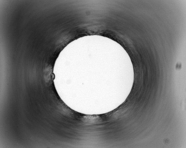 X0000103420480200810101023