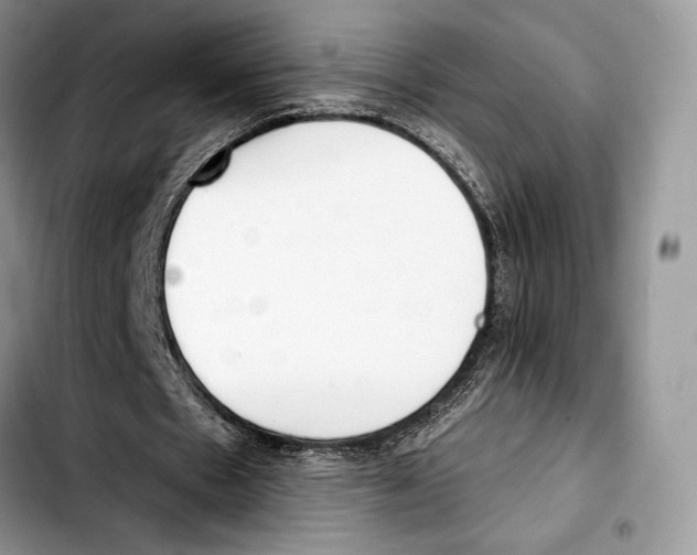 X0000103420481200810101022