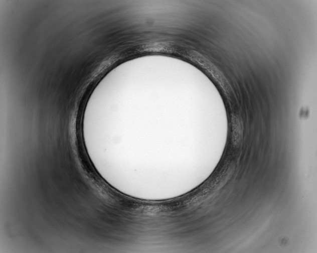 X0000103420482200810101022